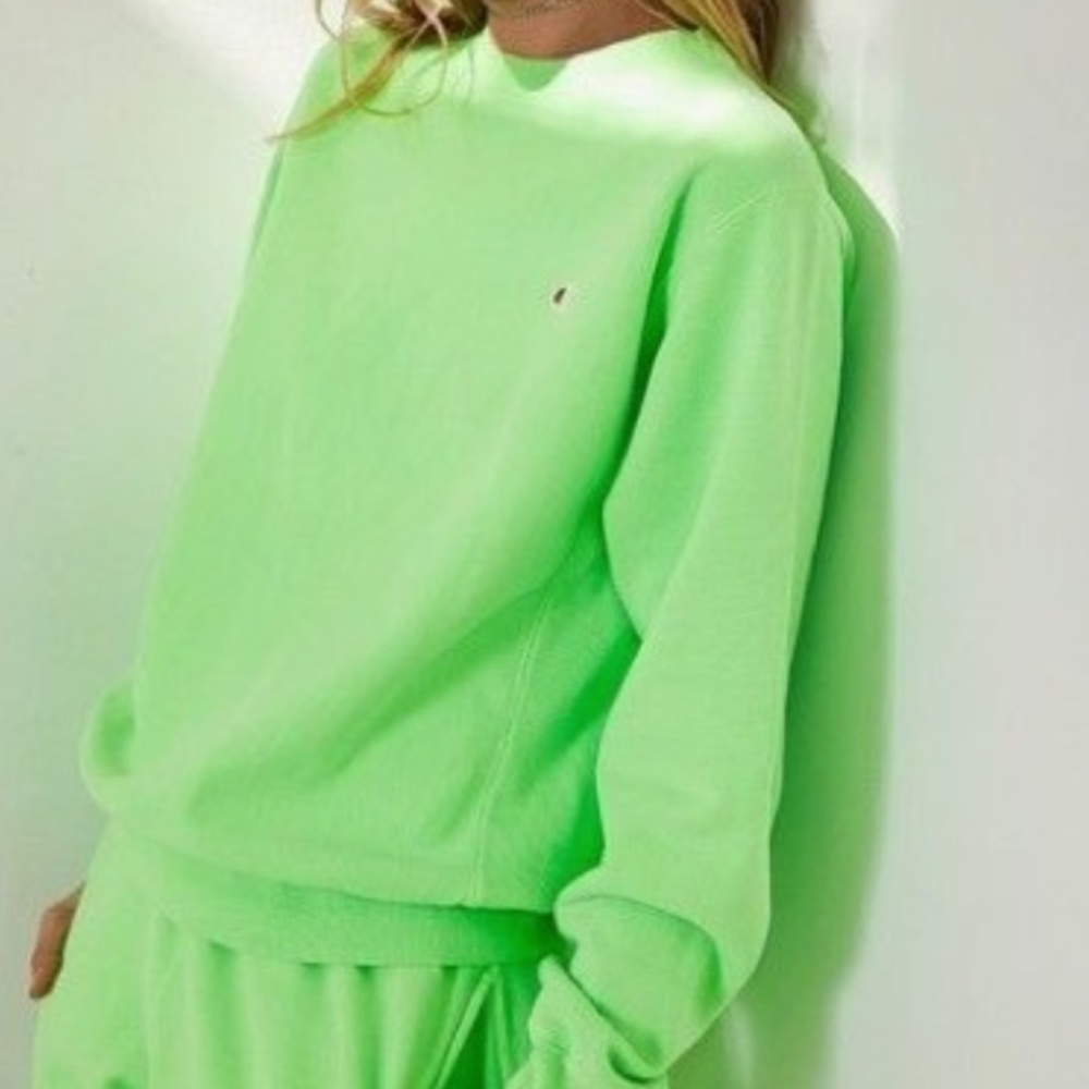 Champion Sweater